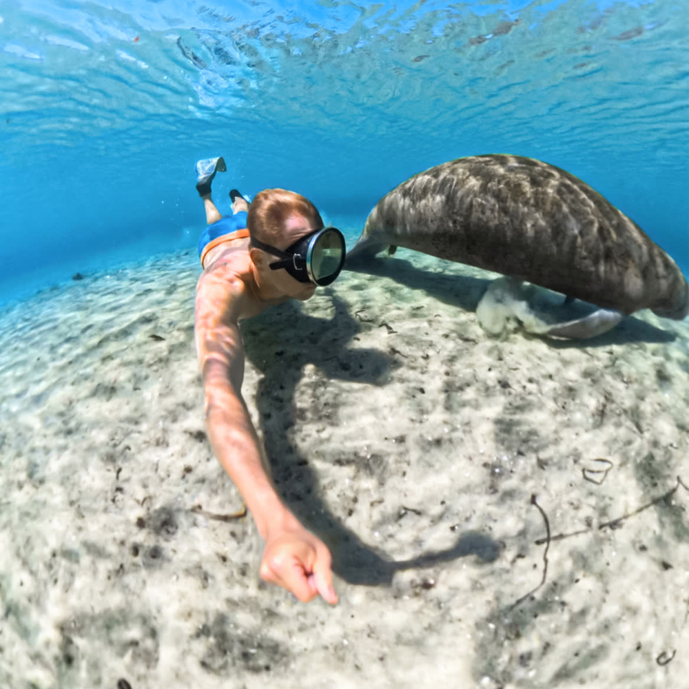 INSTA360 X5 INVISIBLE DIVE CASE