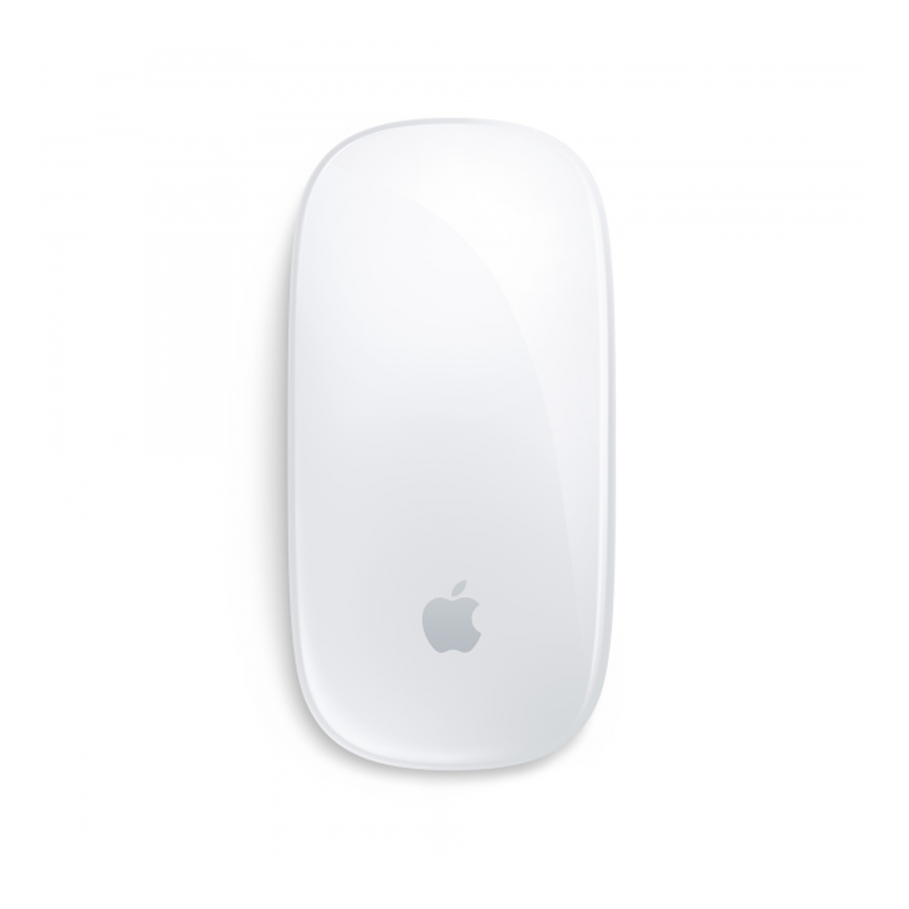 APPLE MAGIC MOUSE MULTI TOUCH SURFACE USB-C SILVER