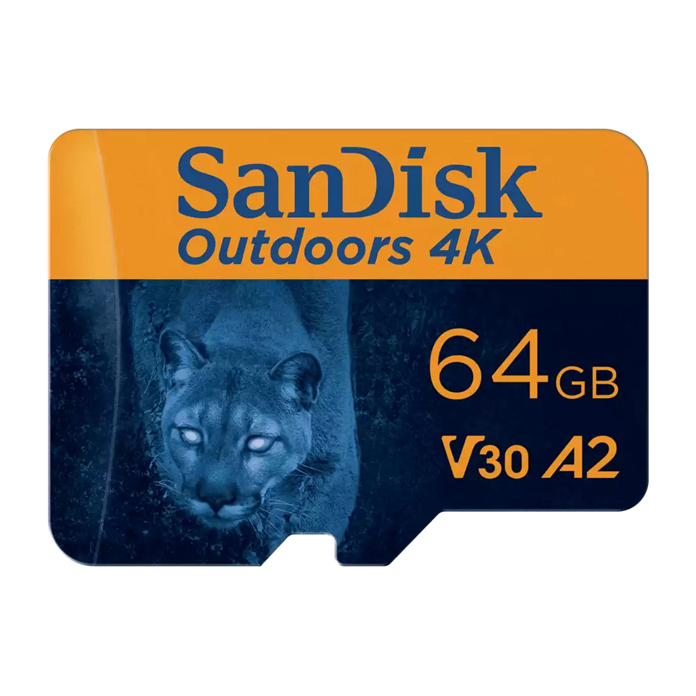 SDSQUNR-064G-GN6VA