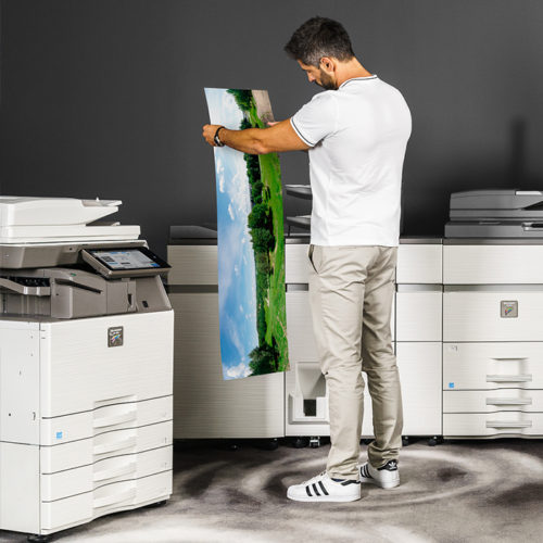 large printing Sharp Large Printing
