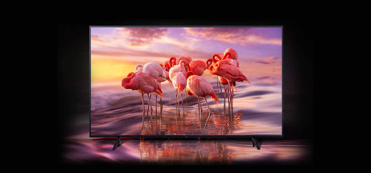 Samsung QLED 55" QE55Q60RA