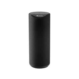 Canyon Wireless Speaker