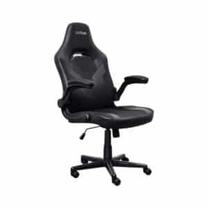 Trust GXT703 Riye Gaming Chair Black
