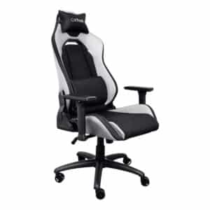 Trust GXT714 Ruya Gaming Chair White